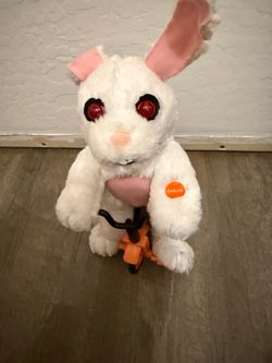 Haunted rabbit on tricycle