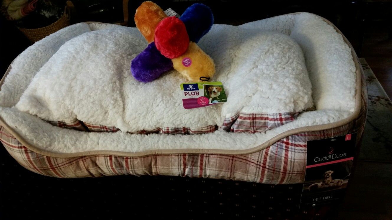 Pet bed and pet toy