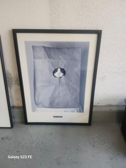 Framed Cat Picture