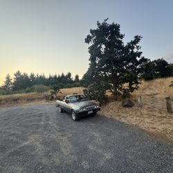 1985 Dodge Mini Ram
