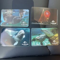 Seaworld Single Day Tickets