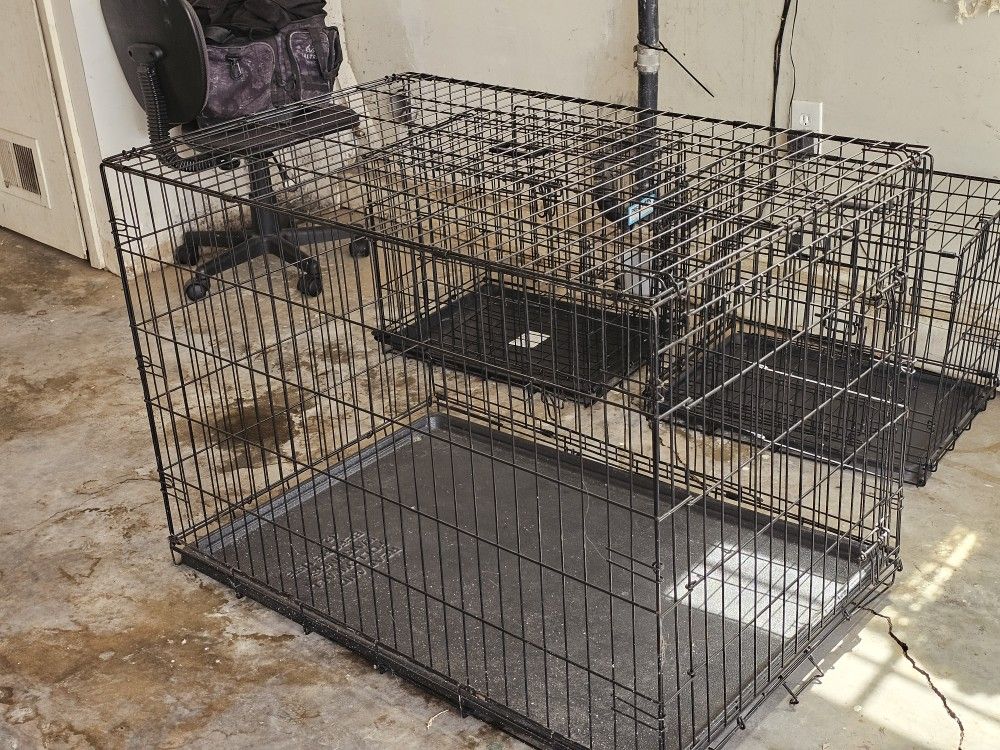 Still Dog Cage Carrie  17 W.×24 L×19 Hig