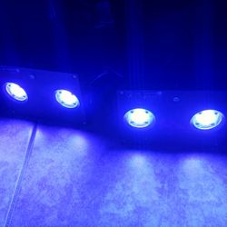 Saltwater  Reef Lights 