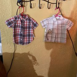 GYMBORee     C. M . Corta  Size 3 -6  months   /   Láyette  C. M. Corta  Size 3 - 6  months  /  Urban Extreme  C. M. Larga Size  3/6  months    C/ U  
