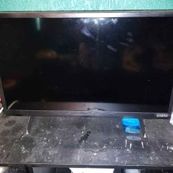 24 Inch Vizio