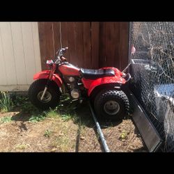 Atv  3wheeler