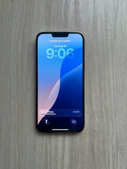 iPhone 13 Pro Max