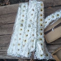 Crafts 