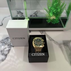 Men’s Watch Citizen Eco Drive
