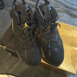 Air Jordan 6 Retro Dmp 