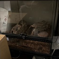 Reptile Cage 
