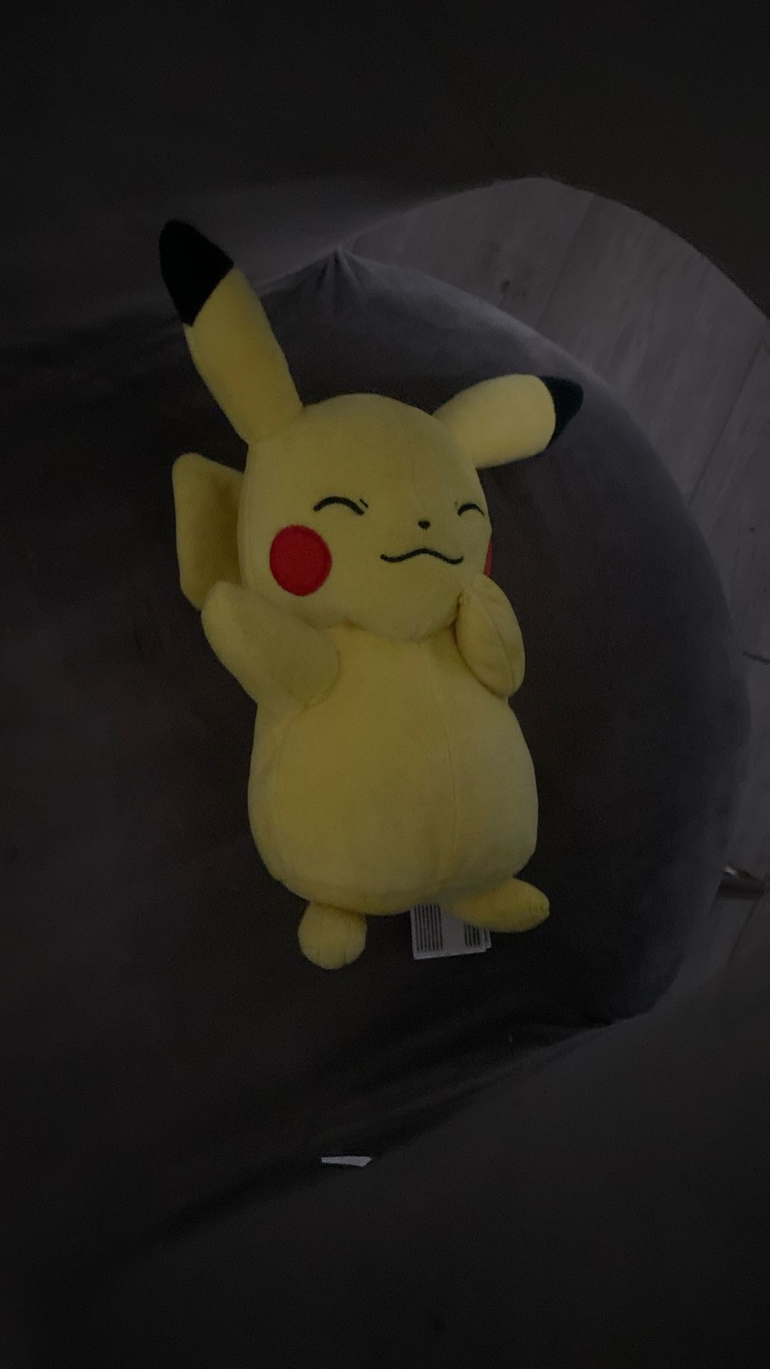 pickachu pokémon plushie