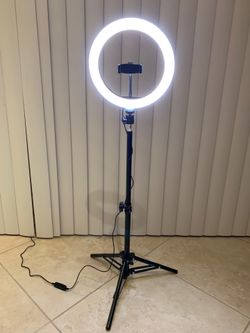 10 “ LED Ring Light