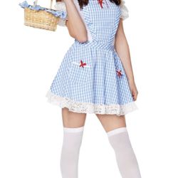Spirit Halloween Costume The Wizard Of Oz Dorothy Adult Size Large 12- 14