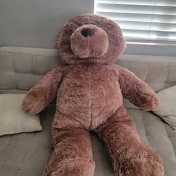 Giant Teddy  New!!