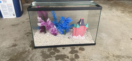 Fish Tank 