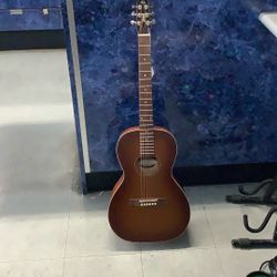 Seagull Entourage Acoustic Guitar