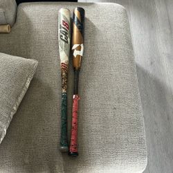 Baseball Bats Size 31 And 30 