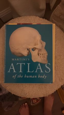 Atlas of the Human Body