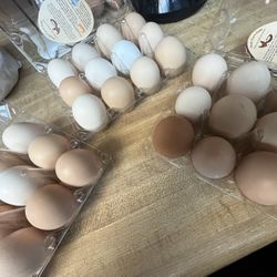 Chicken Eggs