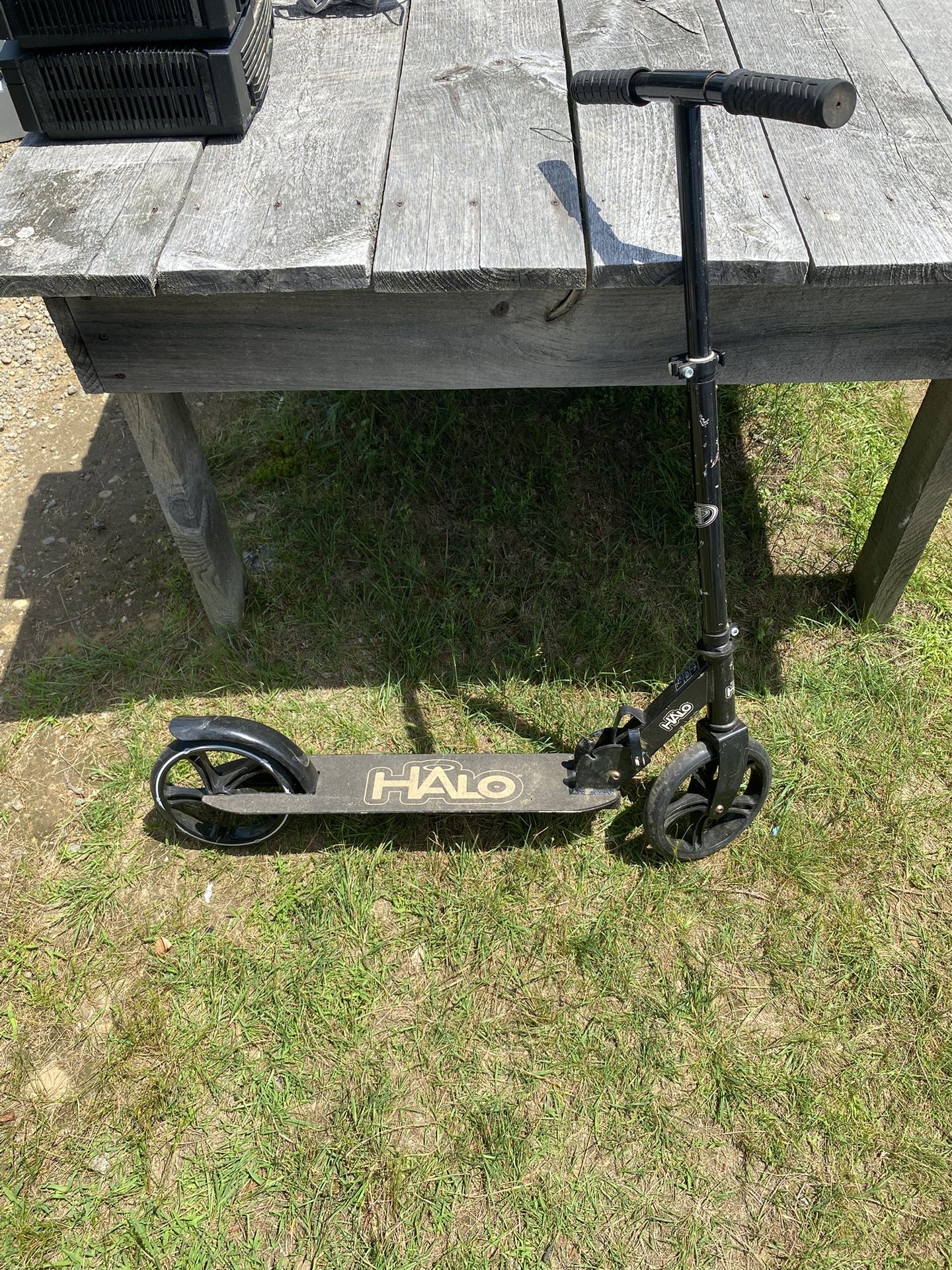 Halo Scooter