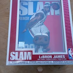 Funko Pop LeBron James Large Box