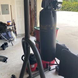 Everlast Punching Bag With Stand