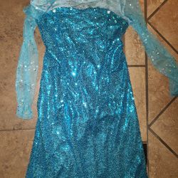 Frozen Elsa Sequin Dress Costume 