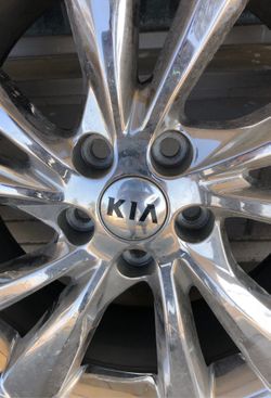 Rines stock 19”