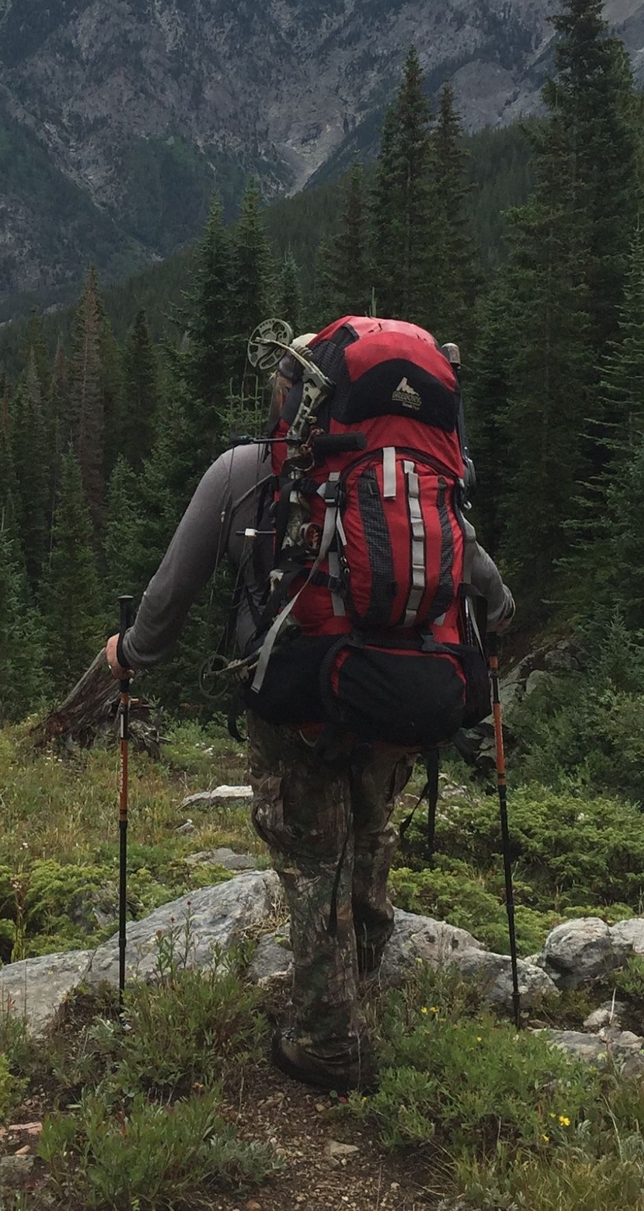 Gregory Denali Pro Backpack