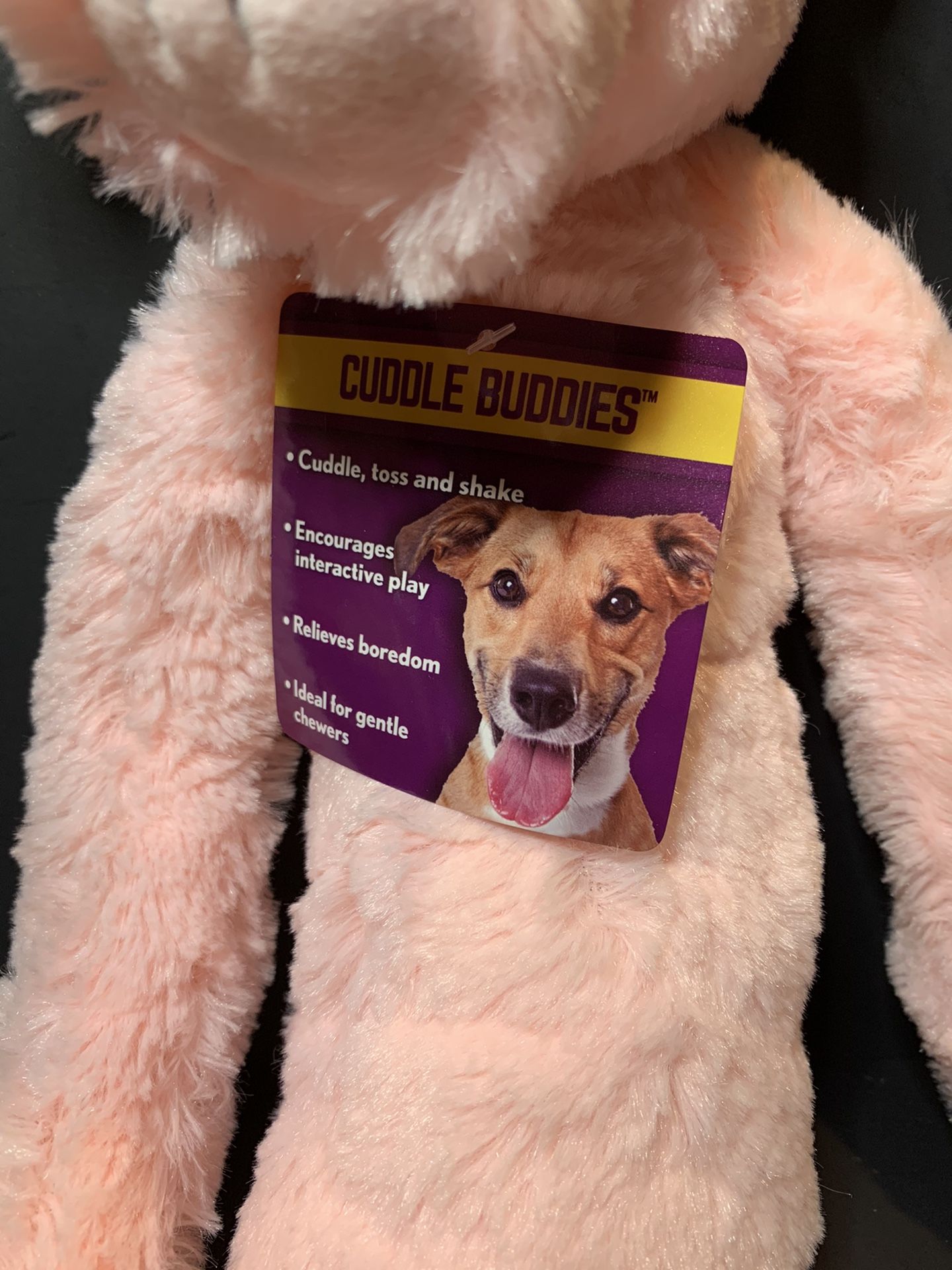 Squeaky Dog Toy - New!