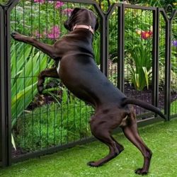 DOG Gate 8 Panels