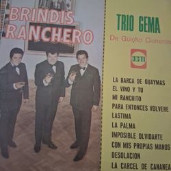 El Trio Gema Rancheras Vinyl Record Album Lp 