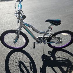 20" Schwinn Bike