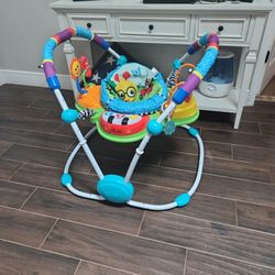 Gently Used Baby Einstein Baby Bouncer