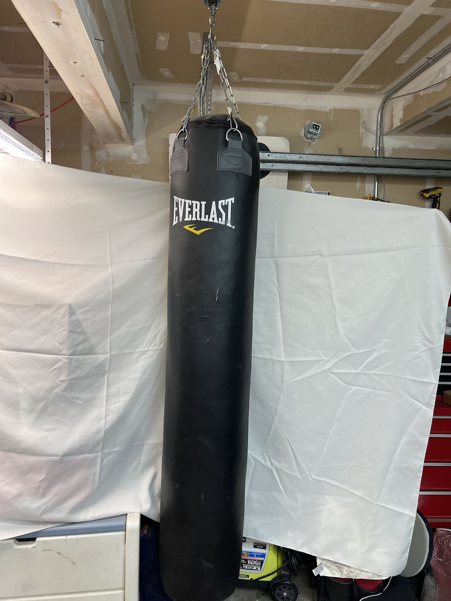 Everlast Mui Thai Punching Bag.