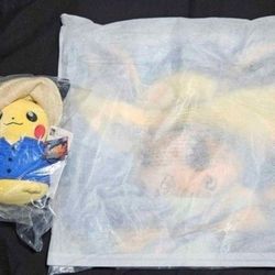 Pokemon Von Gogh Items