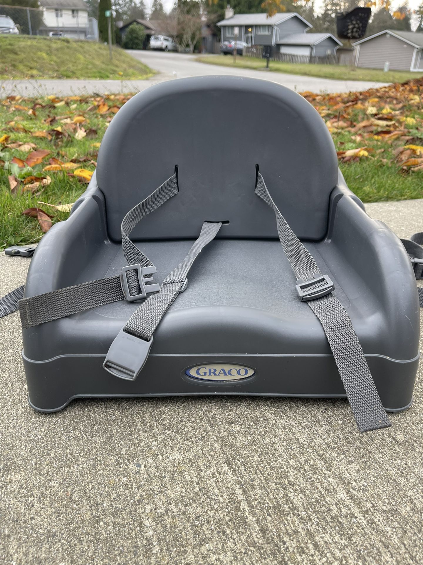 Toddler Booster Seat 