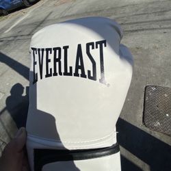 Everlast Boxing Gloves