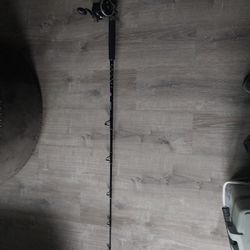 Penn 30LW ,never used 6'6"