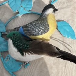 Two birdS