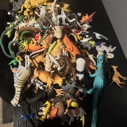 Assorted Animals Fish And Reptiles