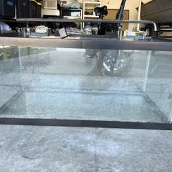 40 Gallon breeder Fish Tank 