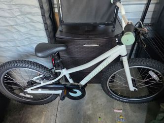 Specialized 20 inch