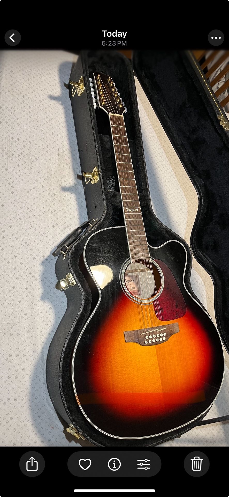 Takamine 12 String Guitar