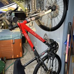 trek bike.