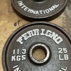Olympic Weights Ferrigno Weights