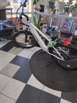 Ebike eskute