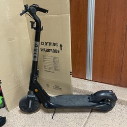Bird Scooter