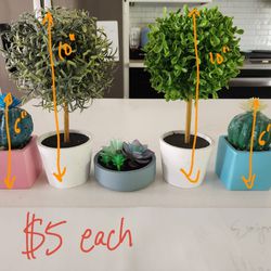 Moving Out SALE- Artificial Plant Artifacts 
